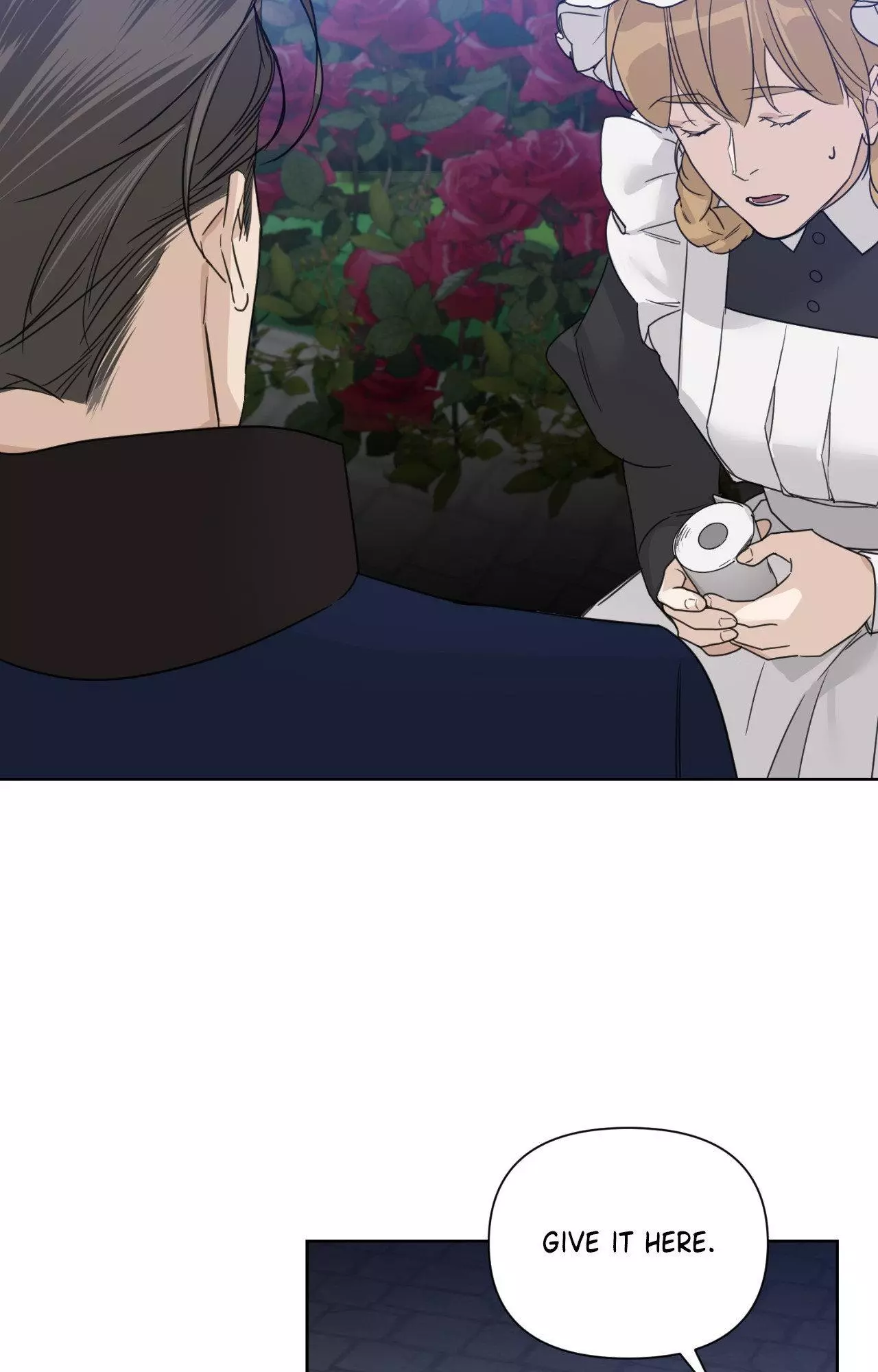 Into The Rose Garden - Chapter 44 Page 45