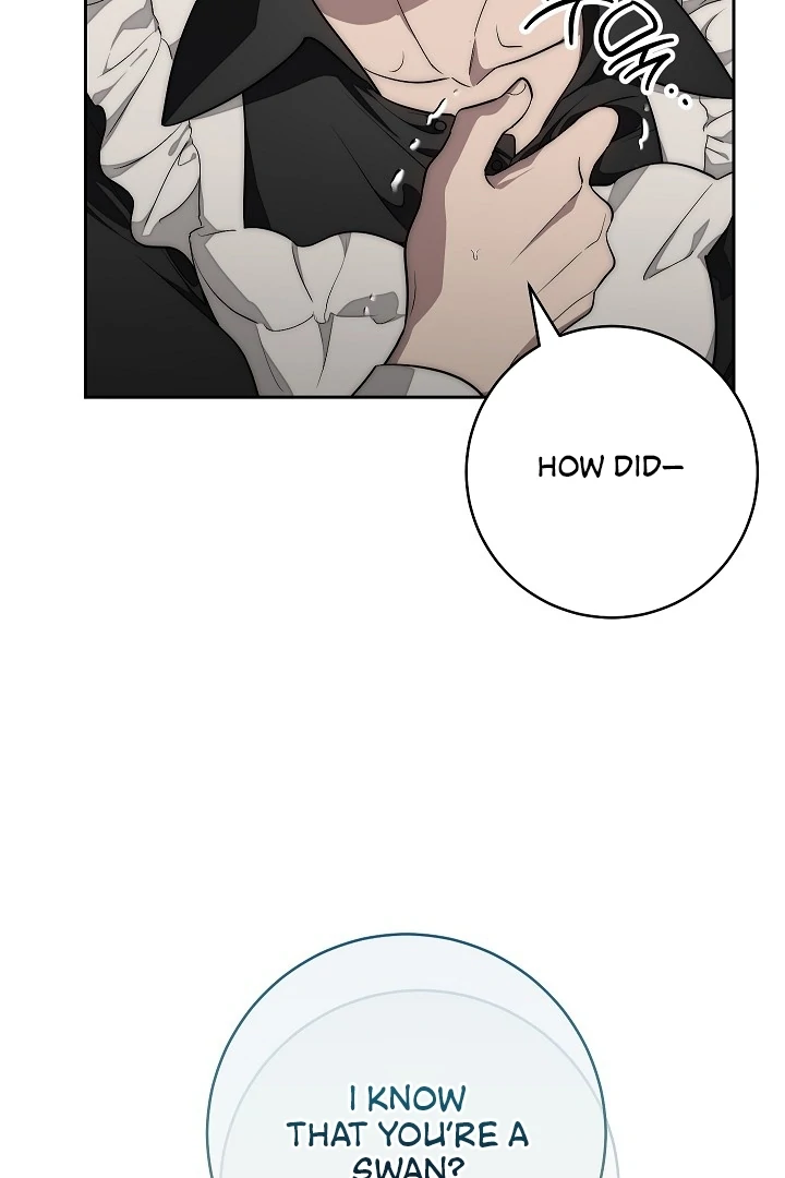 The Swan’s Grave - Chapter 10 Page 9