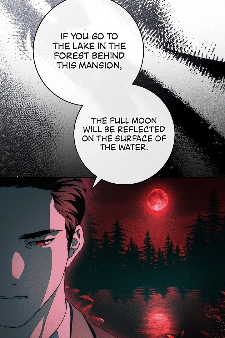 The Swan’s Grave - Chapter 11 Page 72