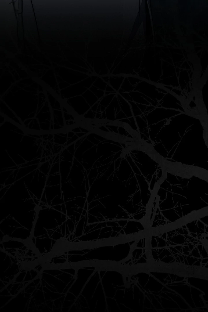 The Swan’s Grave - Chapter 12 Page 133