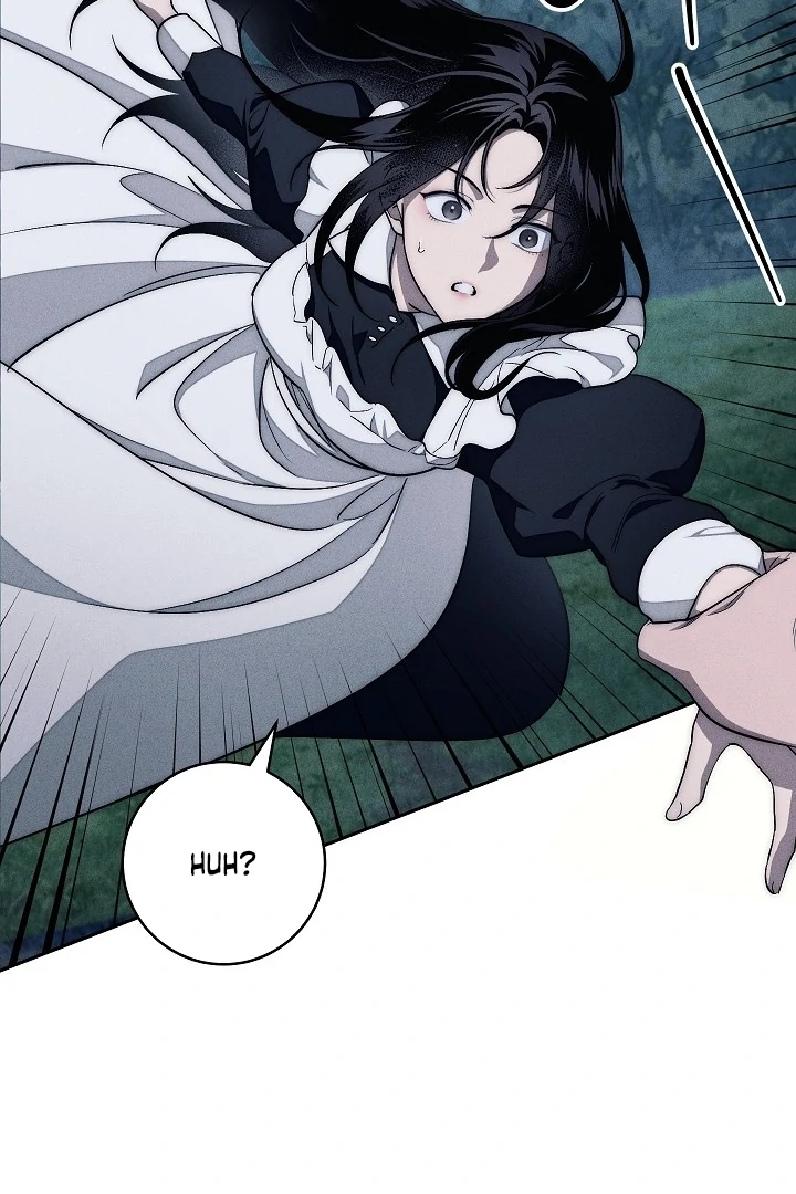 The Swan’s Grave - Chapter 12 Page 66