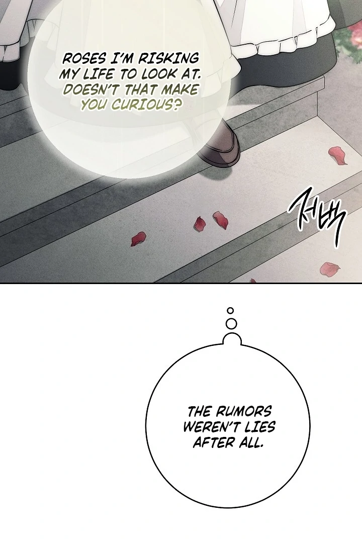 The Swan’s Grave - Chapter 16 Page 47