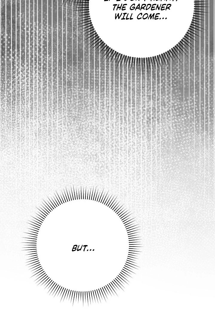 The Swan’s Grave - Chapter 16 Page 92