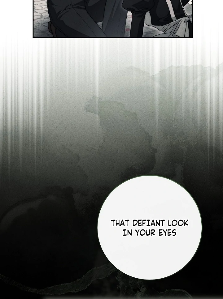 The Swan’s Grave - Chapter 17 Page 93