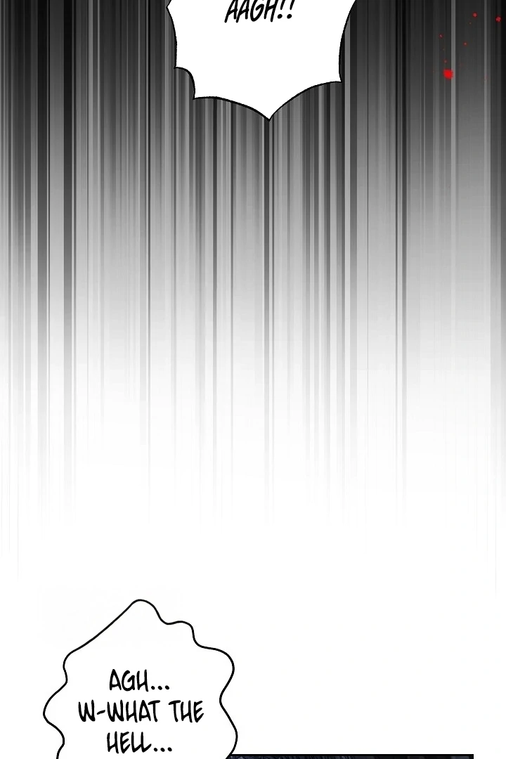 The Swan’s Grave - Chapter 20 Page 67