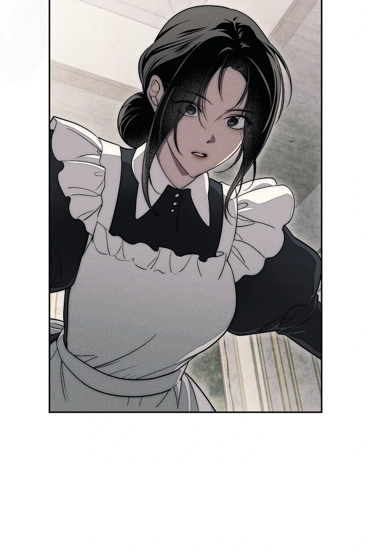 The Swan’s Grave - Chapter 27 Page 101