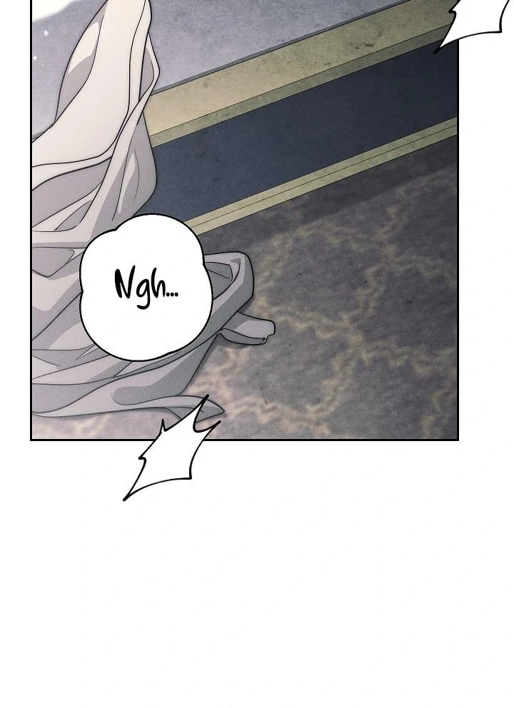 The Swan’s Grave - Chapter 27 Page 14