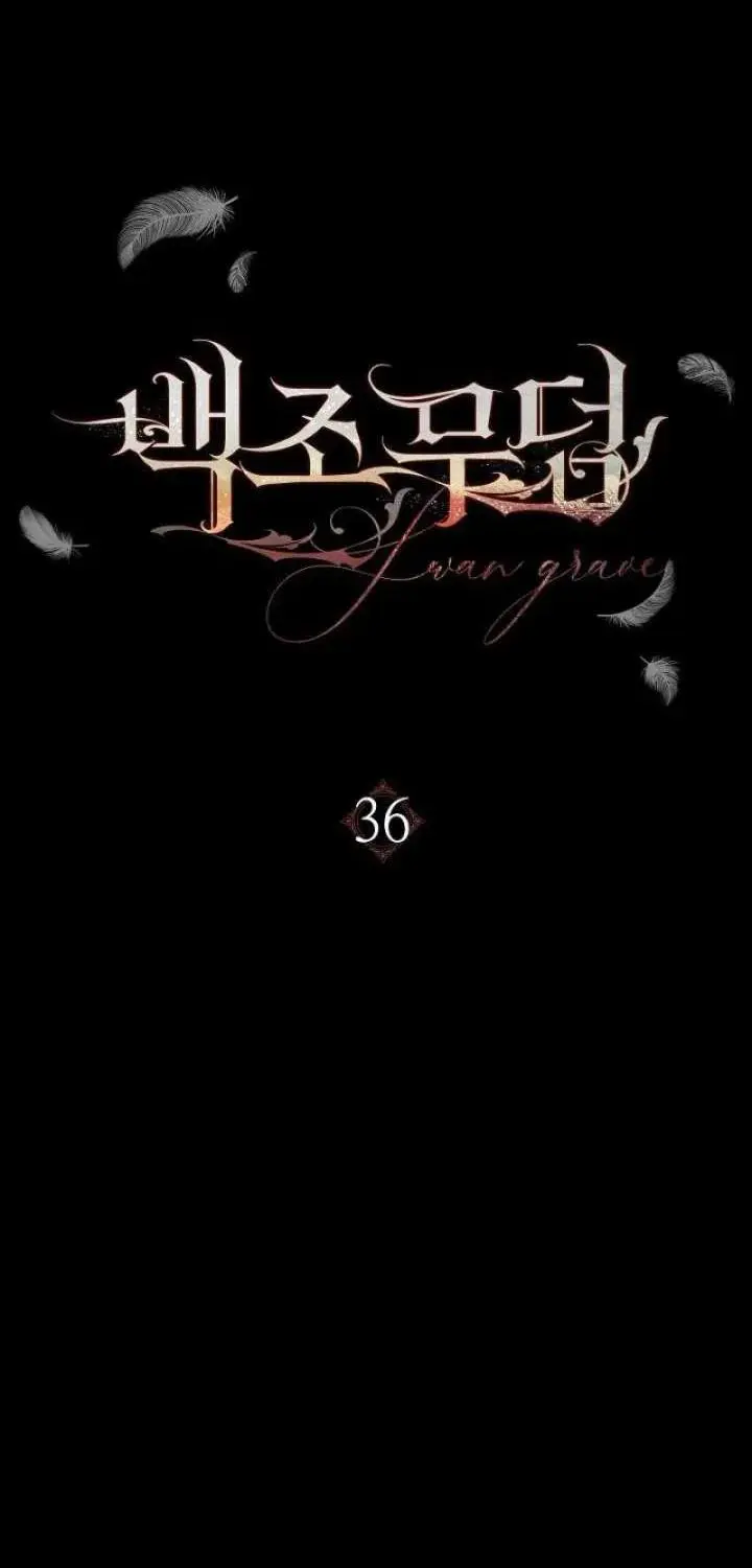 The Swan’s Grave - Chapter 36 Page 17