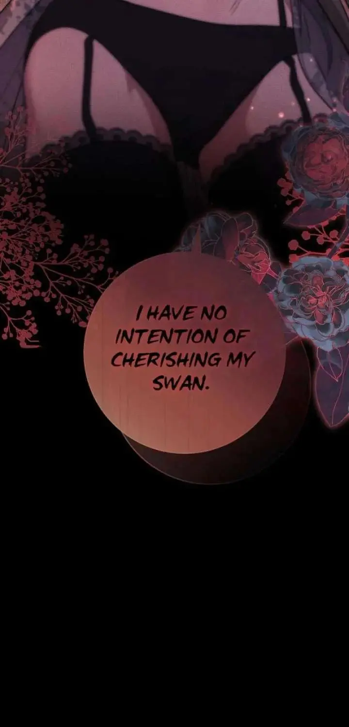 The Swan’s Grave - Chapter 36 Page 41
