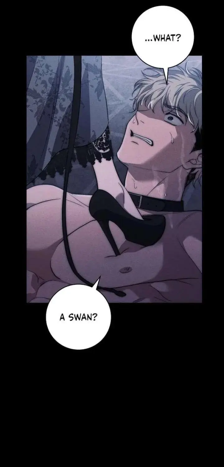 The Swan’s Grave - Chapter 36 Page 42