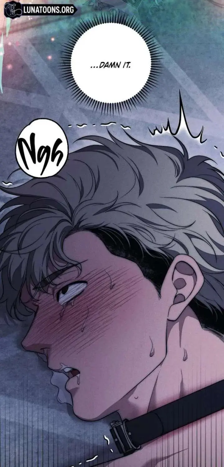 The Swan’s Grave - Chapter 36 Page 64