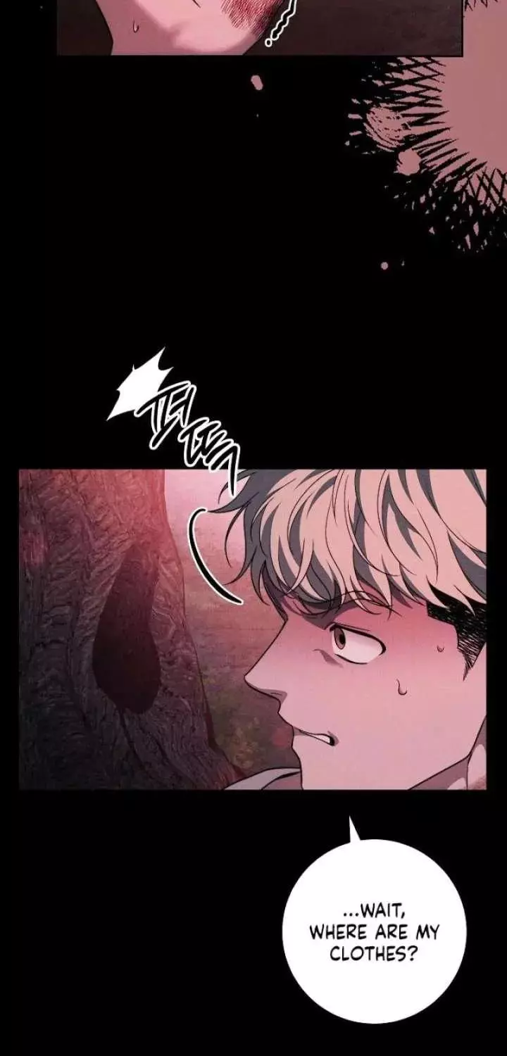 The Swan’s Grave - Chapter 38 Page 78