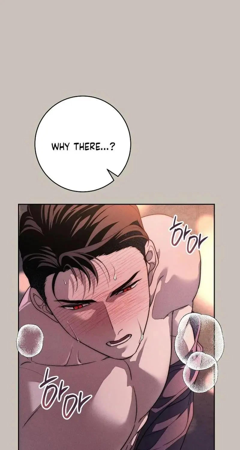 The Swan’s Grave - Chapter 41 Page 73
