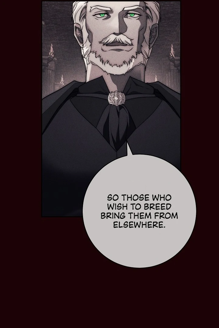 The Swan’s Grave - Chapter 6 Page 80