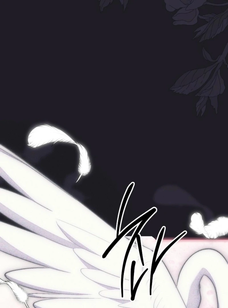 The Swan’s Grave - Chapter 7 Page 97