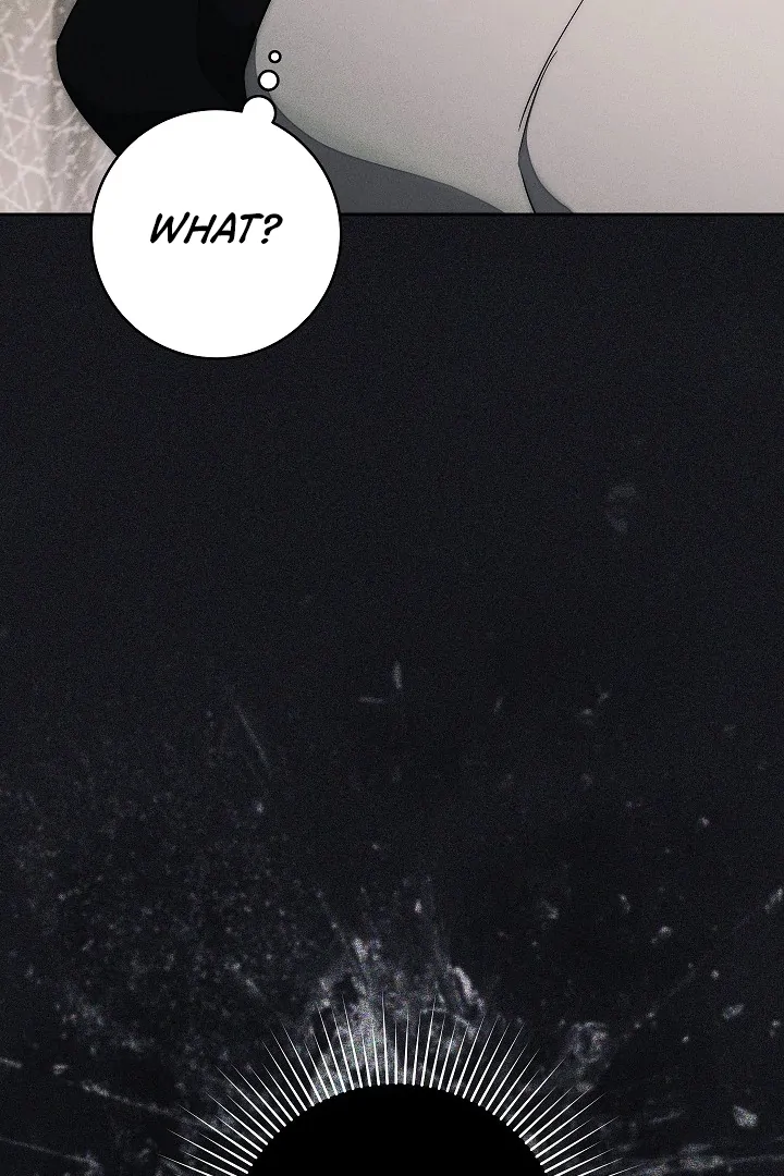 The Swan’s Grave - Chapter 8 Page 97