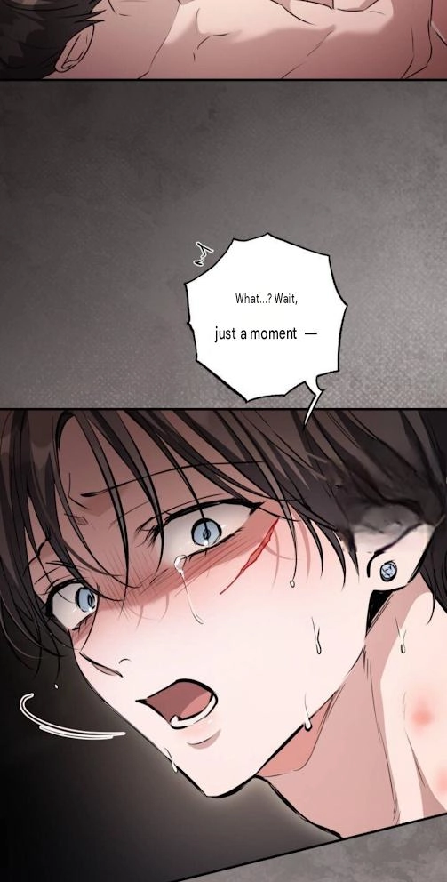 The Circumstances of Those Noble Brothers - Chapter 19 Page 6