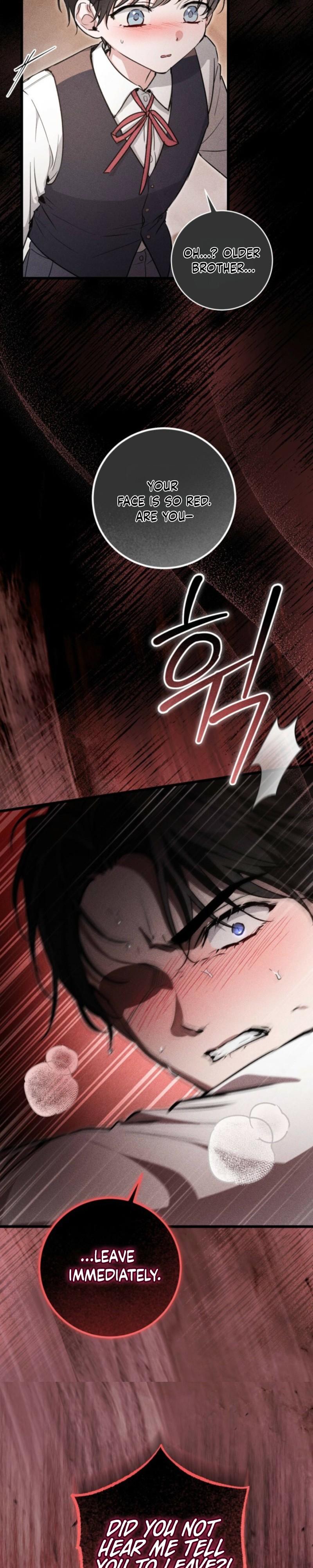 The Circumstances of Those Noble Brothers - Chapter 2 Page 16