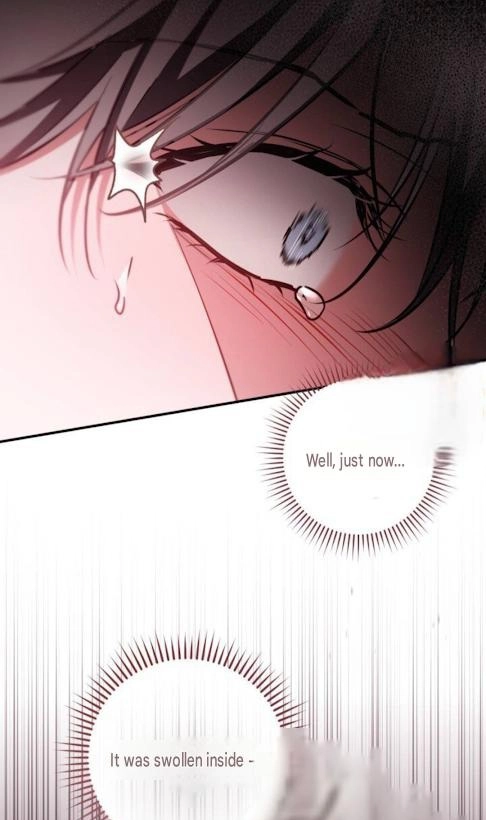 The Circumstances of Those Noble Brothers - Chapter 20 Page 41
