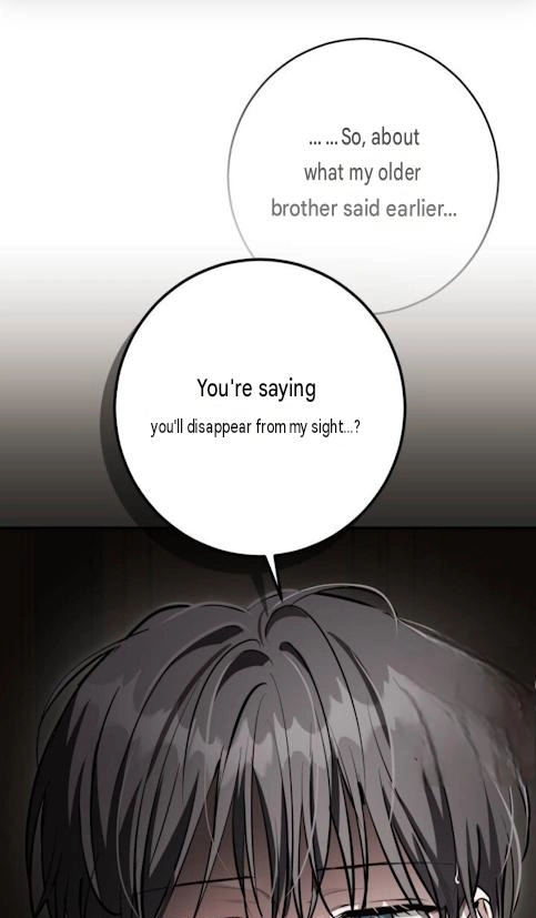 The Circumstances of Those Noble Brothers - Chapter 20 Page 105