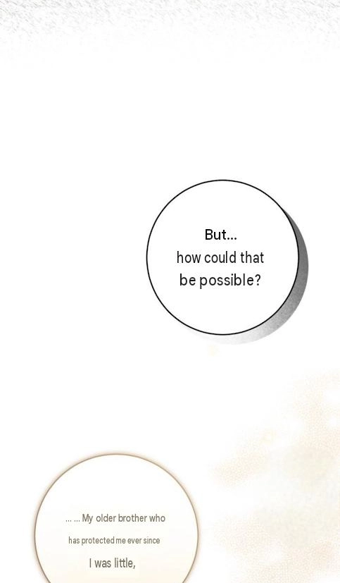 The Circumstances of Those Noble Brothers - Chapter 20 Page 107