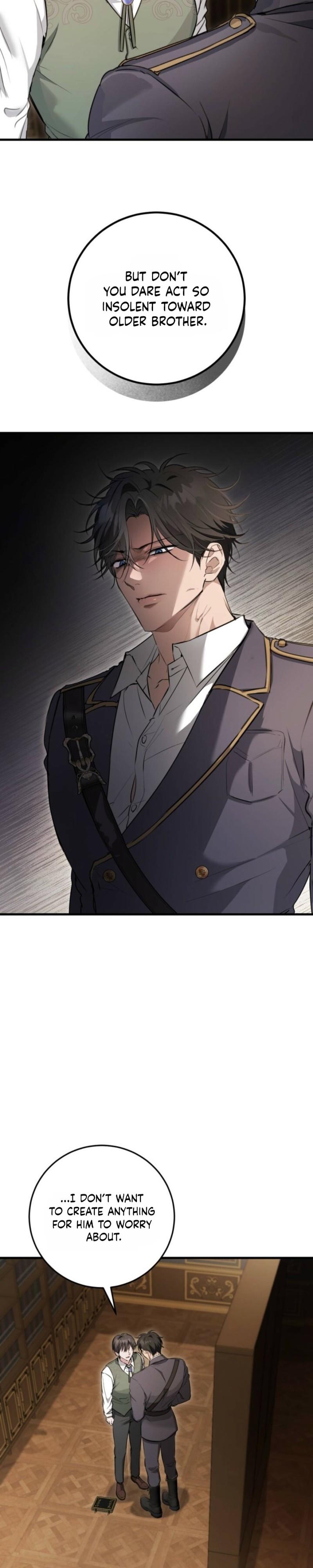 The Circumstances of Those Noble Brothers - Chapter 4 Page 19