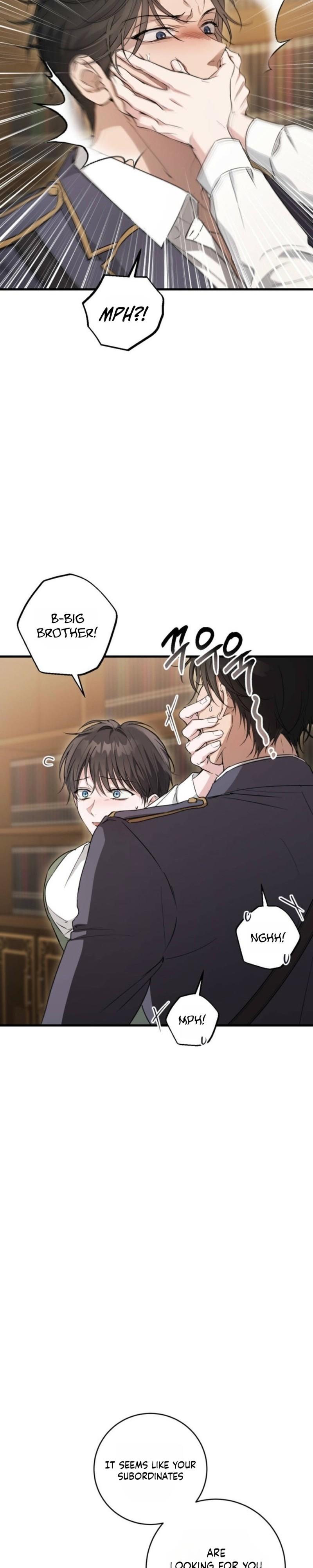 The Circumstances of Those Noble Brothers - Chapter 4 Page 6