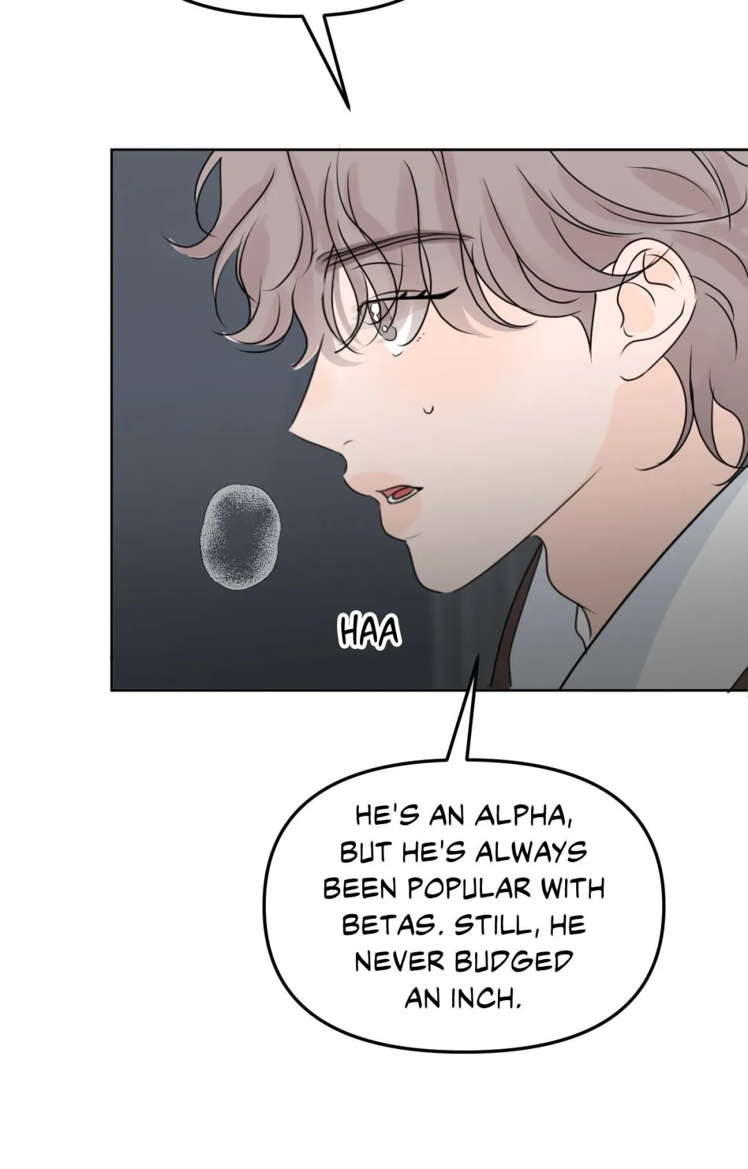 The Boundary of Fragrance - Chapter 49 Page 15