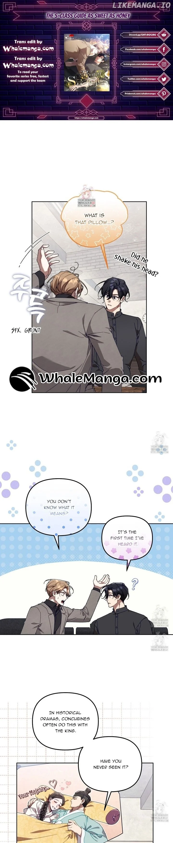 The S-Class Guide As Sweet As Honey - Chapter 20 Page 1
