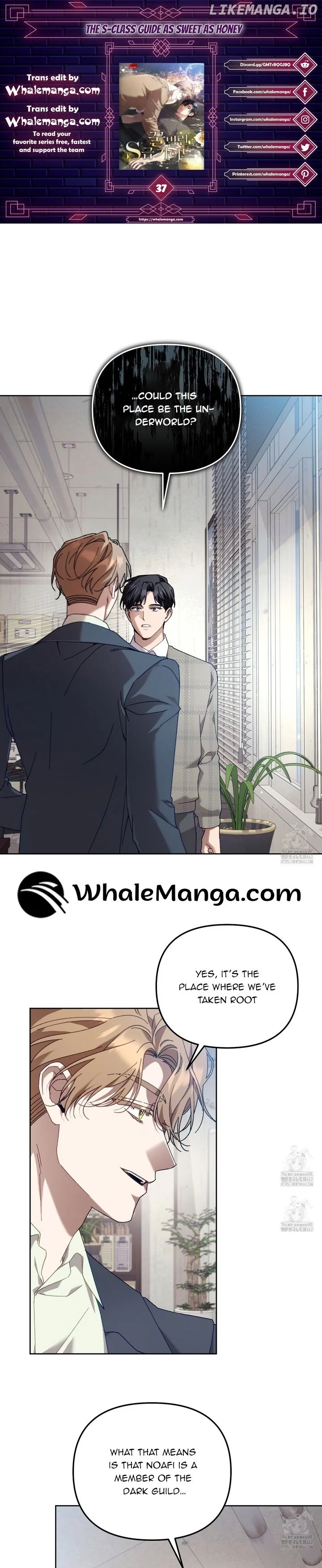 The S-Class Guide As Sweet As Honey - Chapter 37 Page 1