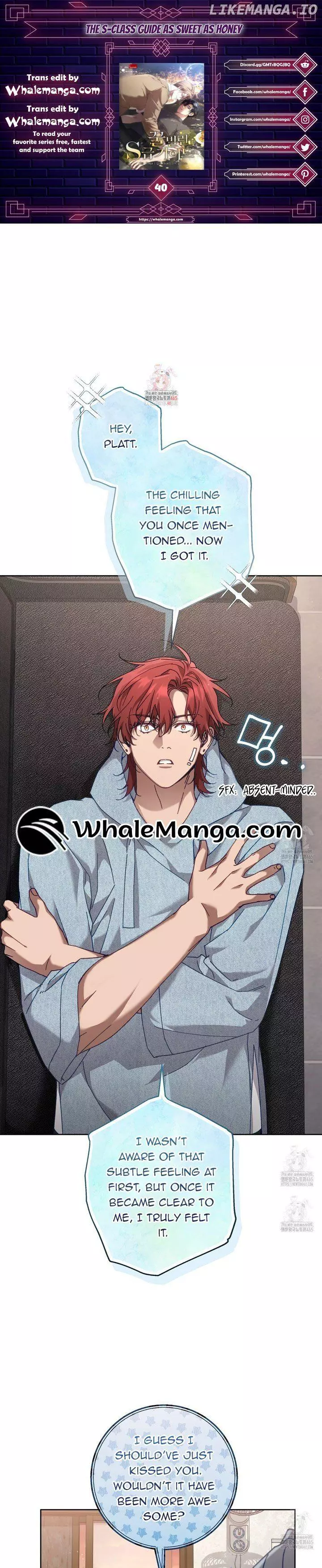 The S-Class Guide As Sweet As Honey - Chapter 40 Page 1
