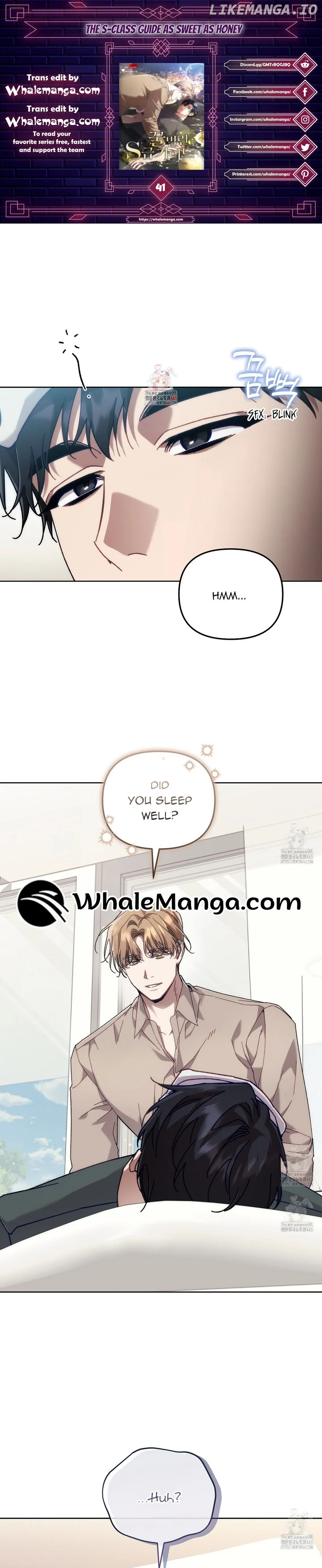 The S-Class Guide As Sweet As Honey - Chapter 41 Page 1