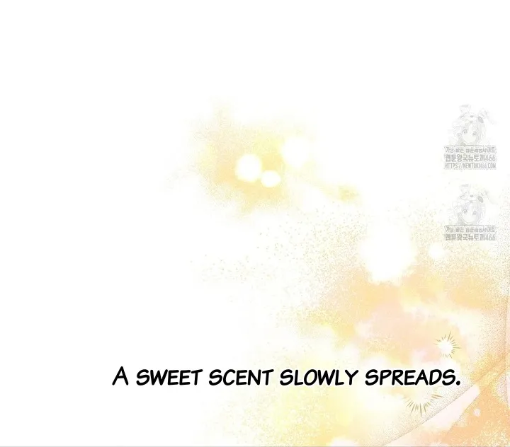 The S-Class Guide As Sweet As Honey - Chapter 45 Page 45