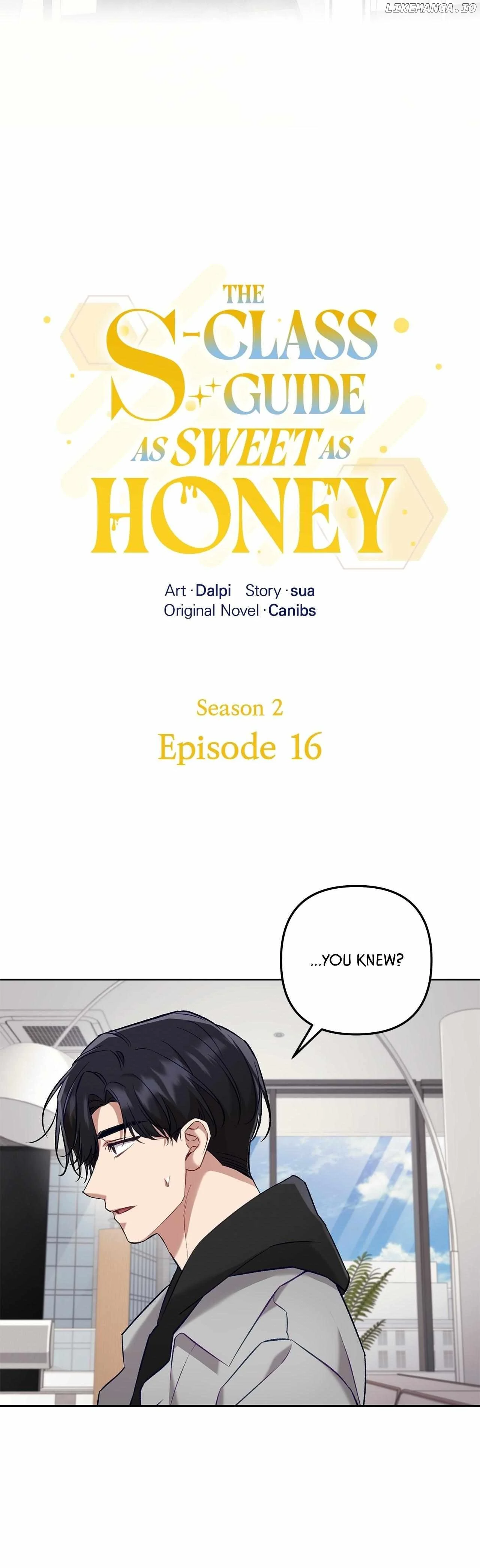 The S-Class Guide As Sweet As Honey - Chapter 61 Page 15