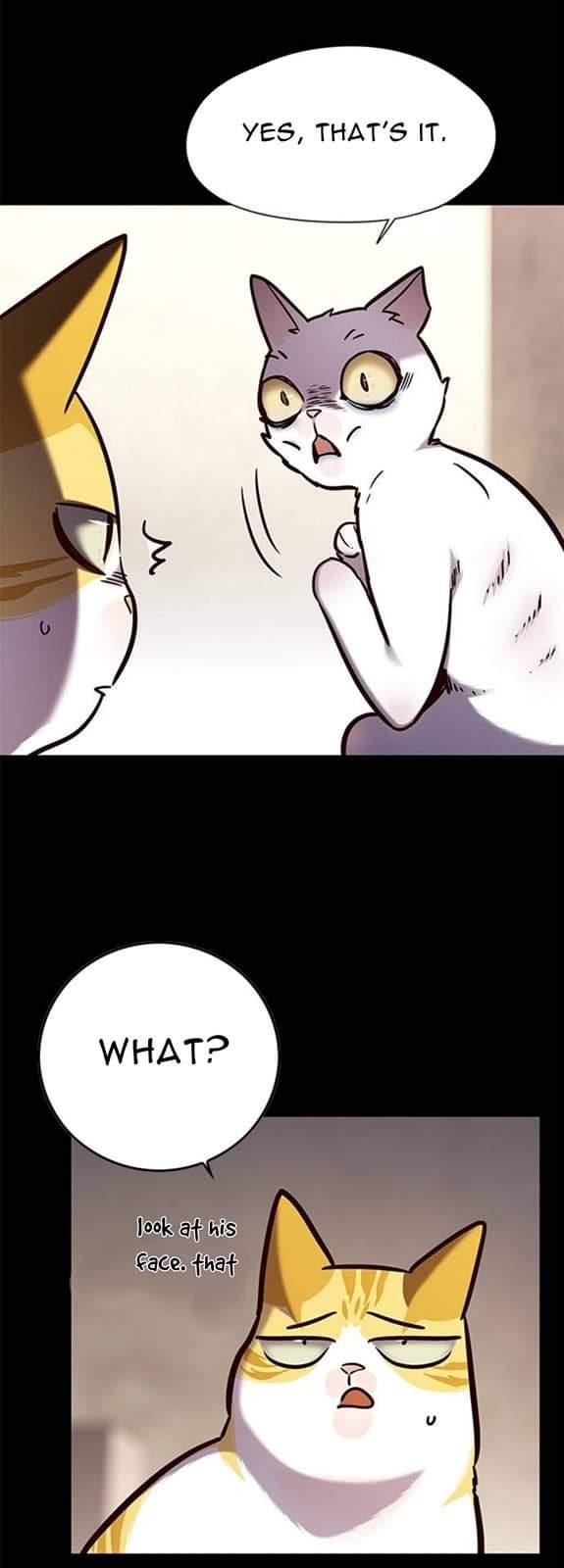Eleceed - Chapter 142 Page 8