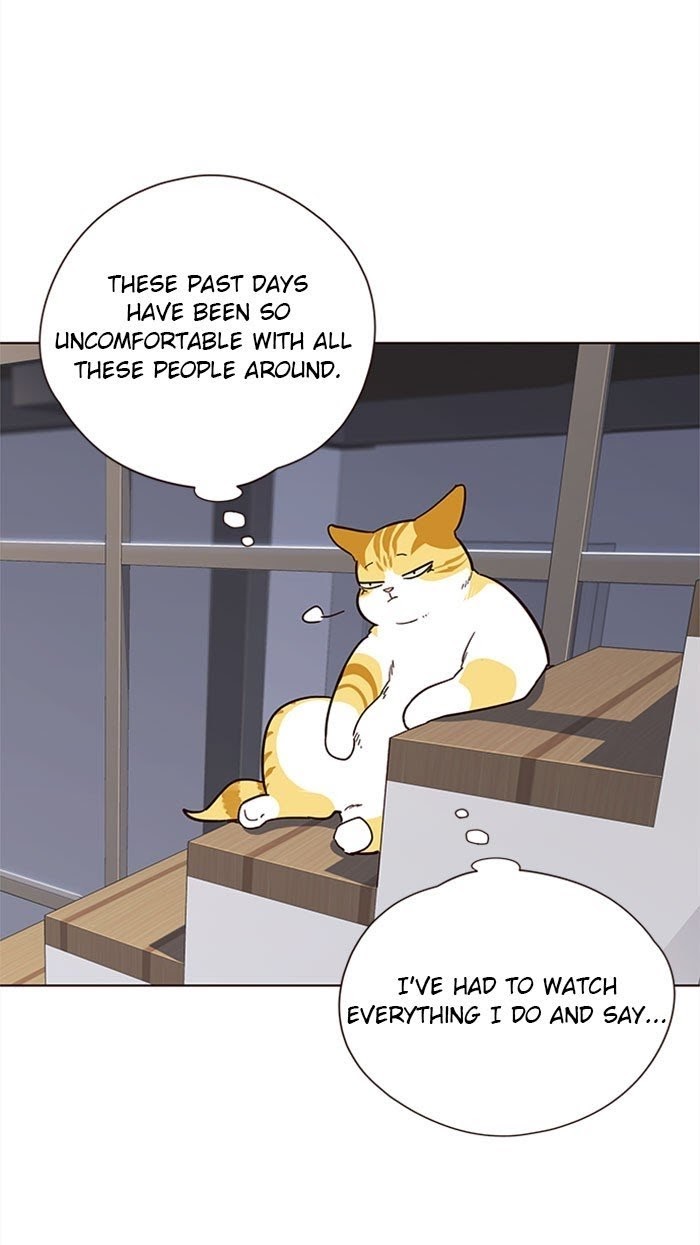 Eleceed - Chapter 35 Page 42