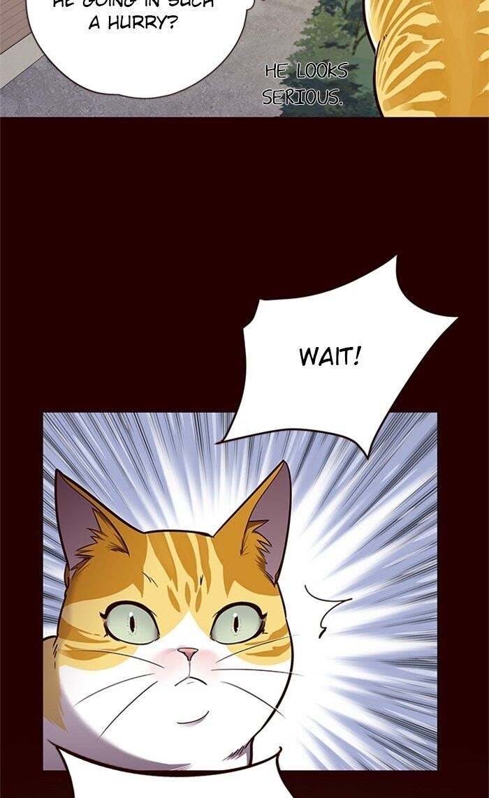 Eleceed - Chapter 52 Page 40