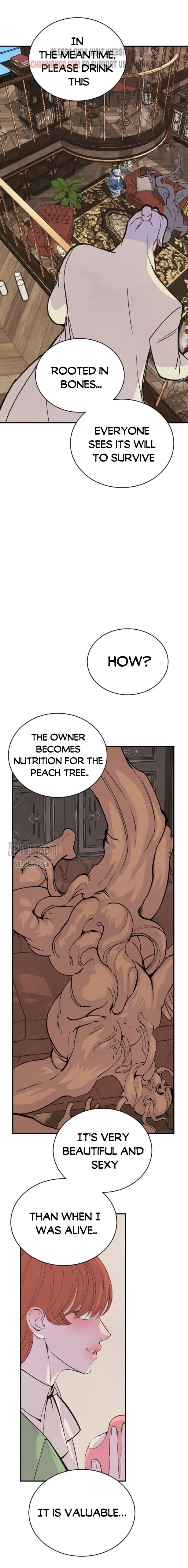 Peach Boy - Chapter 12 Page 21