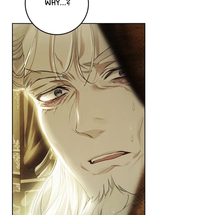 The Villainess Is A Marionette - Chapter 81 Page 47