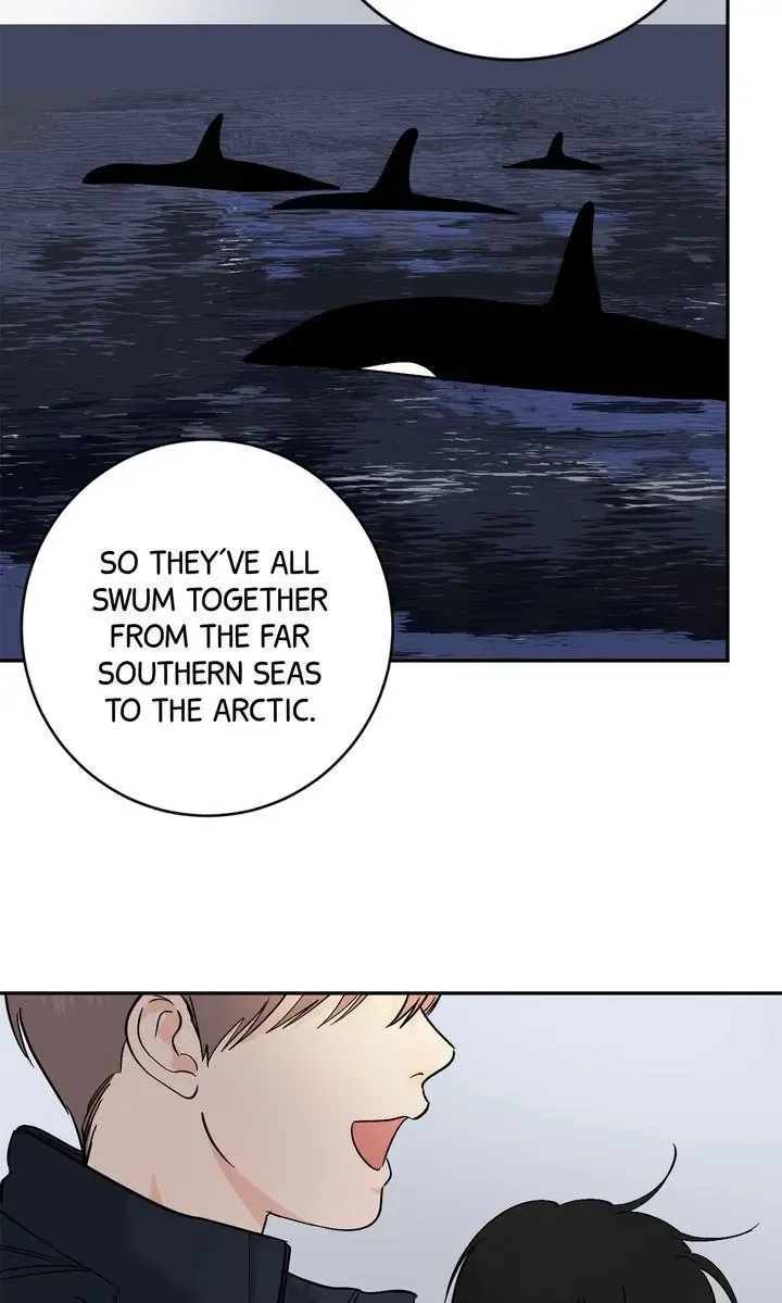 Killer Whale Protocol - Chapter 40 Page 39
