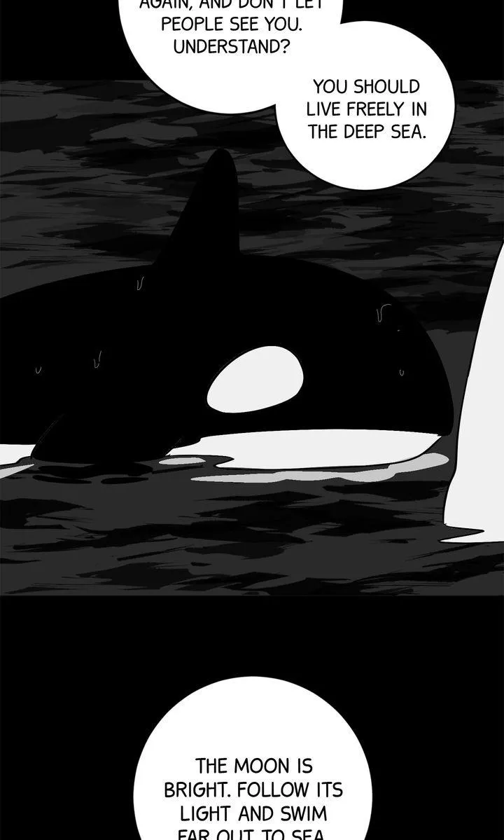 Killer Whale Protocol - Chapter 51.5 Page 35