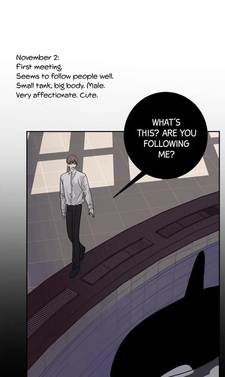 Killer Whale Protocol - Chapter 55 Page 36