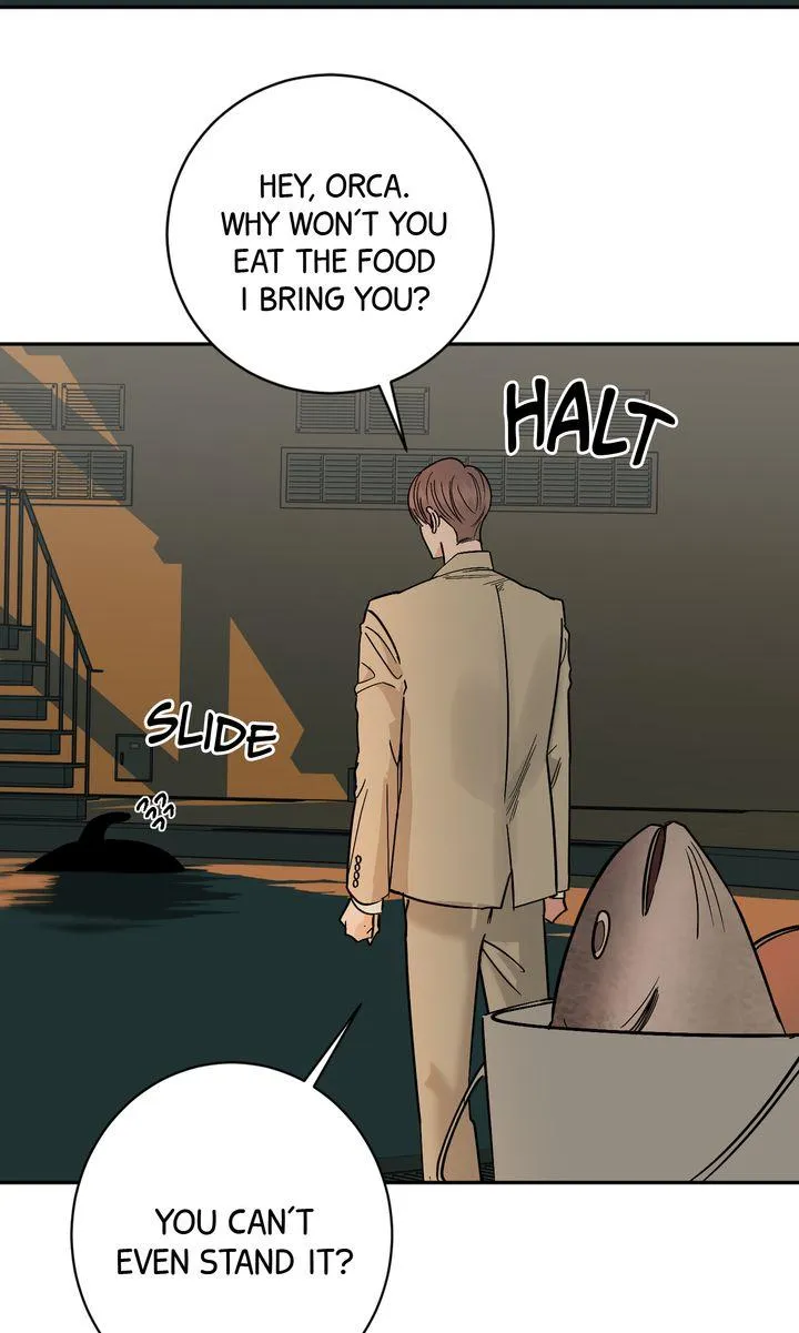 Killer Whale Protocol - Chapter 56 Page 42