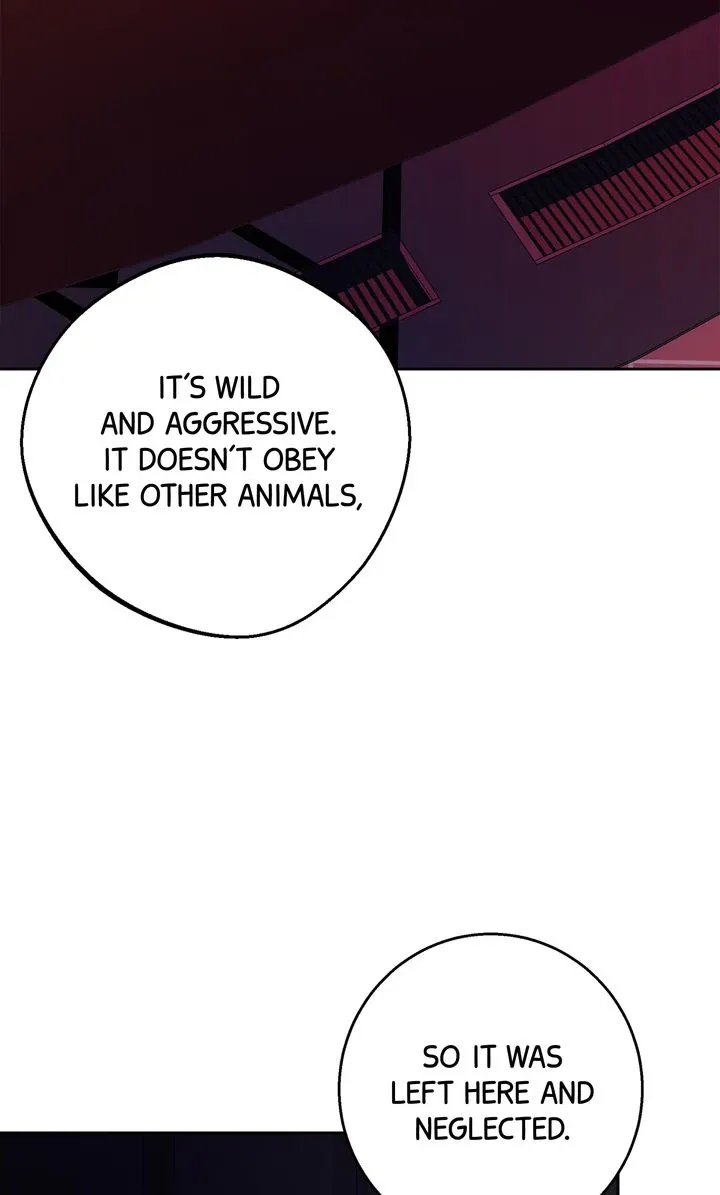 Killer Whale Protocol - Chapter 7 Page 17