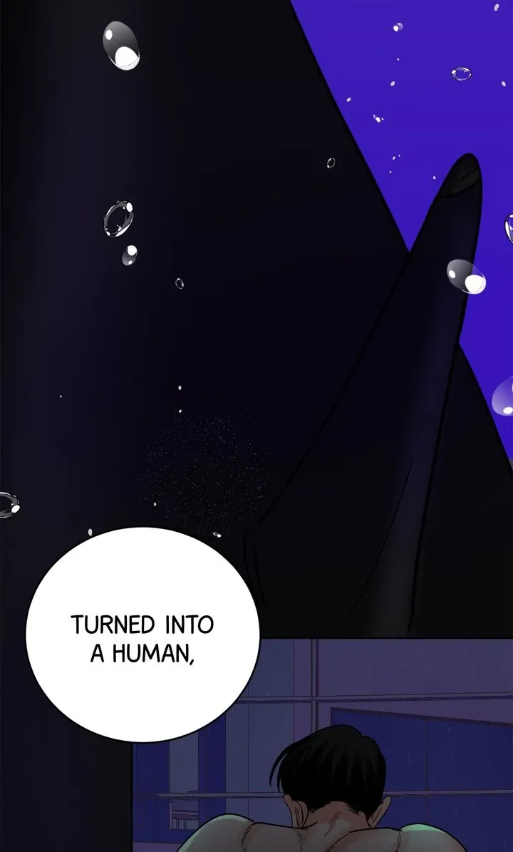 Killer Whale Protocol - Chapter 8 Page 37