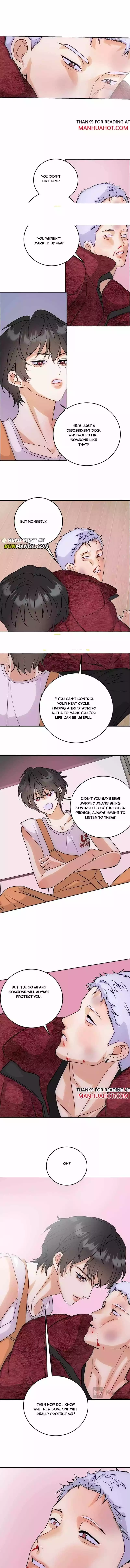 The golden goose dressed as Alpha boss - Chapter 16 Page 7