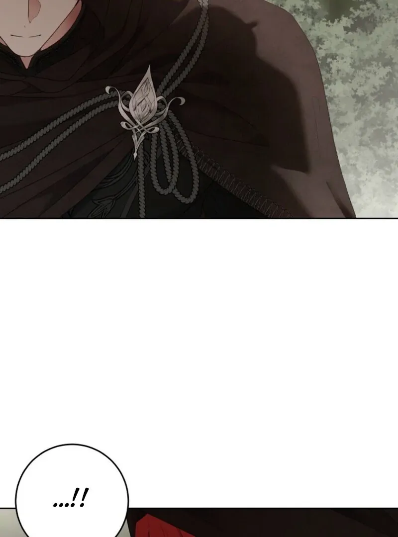 It Looks Like I’Ve Fallen Into The World Of A Reverse Harem Game - Chapter 156 Page 79