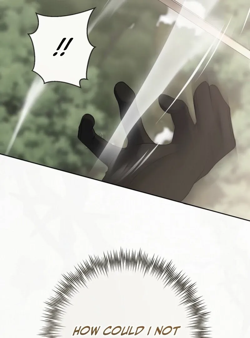 It Looks Like I’Ve Fallen Into The World Of A Reverse Harem Game - Chapter 156 Page 112