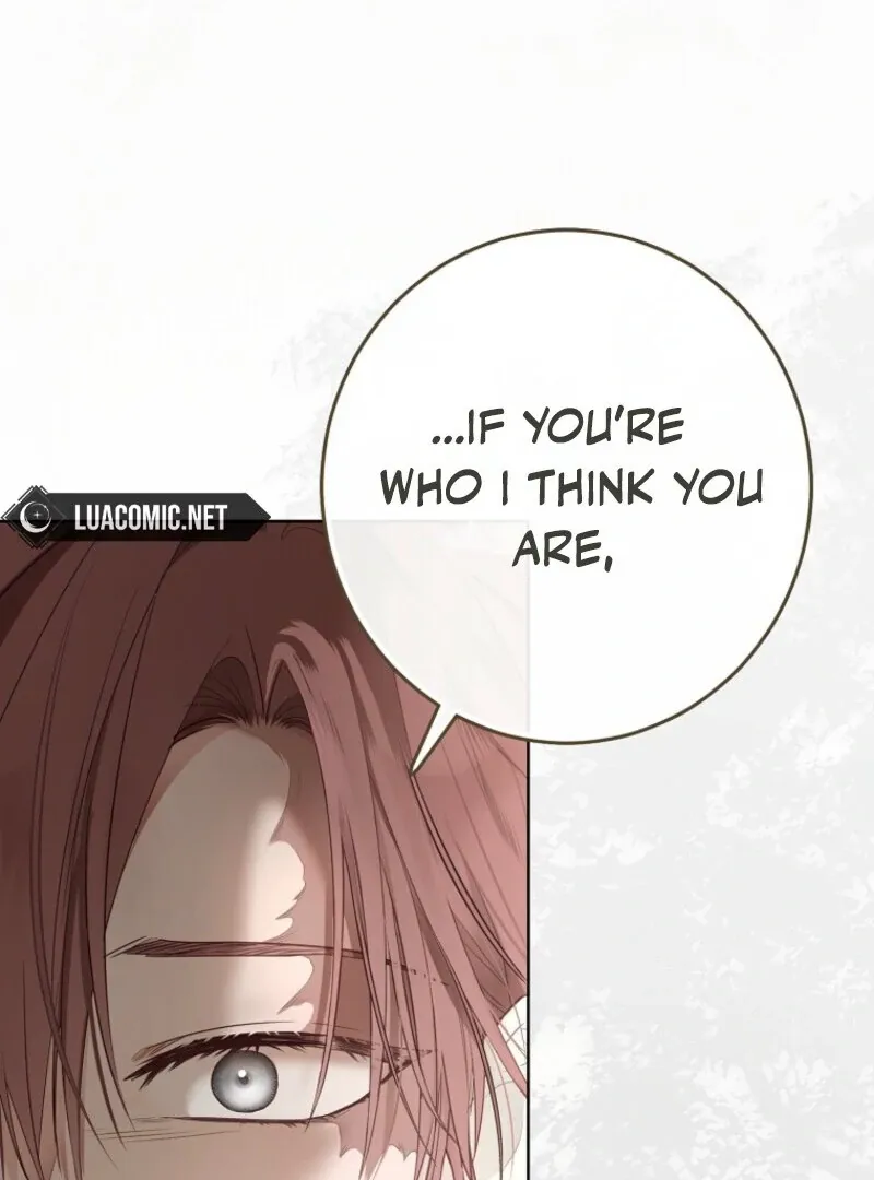 It Looks Like I’Ve Fallen Into The World Of A Reverse Harem Game - Chapter 156 Page 117