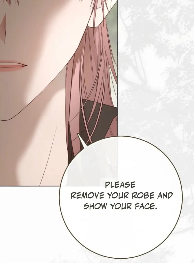 It Looks Like I’Ve Fallen Into The World Of A Reverse Harem Game - Chapter 156 Page 118